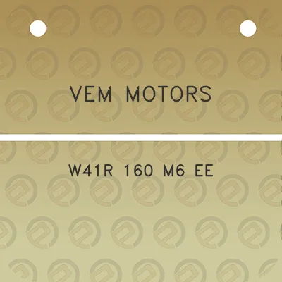 vem-motors-w41r-160-m6-ee