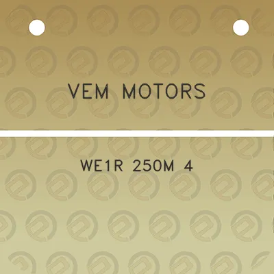 vem-motors-we1r-250m-4