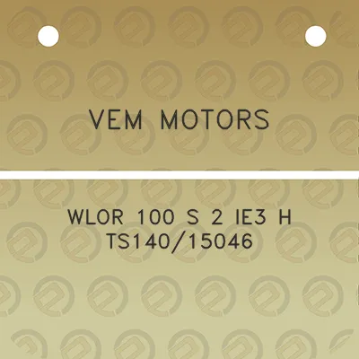 vem-motors-wlor-100-s-2-ie3-h-ts14015046