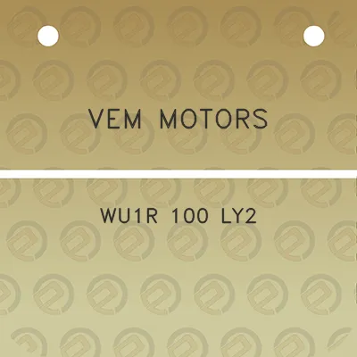 vem-motors-wu1r-100-ly2