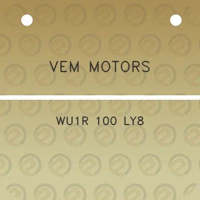 vem-motors-wu1r-100-ly8