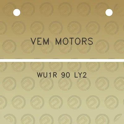 vem-motors-wu1r-90-ly2