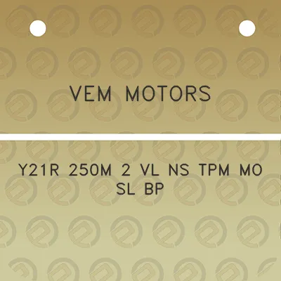 vem-motors-y21r-250m-2-vl-ns-tpm-mo-sl-bp