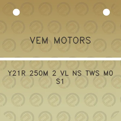 vem-motors-y21r-250m-2-vl-ns-tws-m0-s1