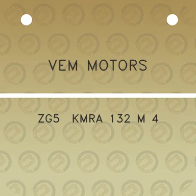 vem-motors-zg5-kmra-132-m-4