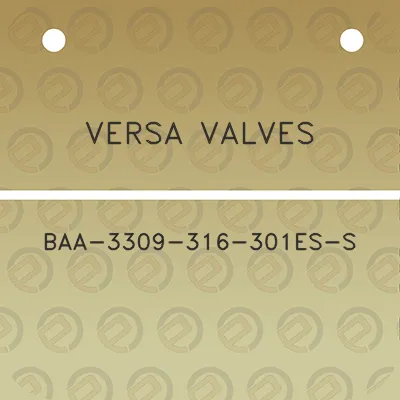 versa-valves-baa-3309-316-301es-s