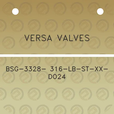 versa-valves-bsg-3328-316-lb-st-xx-do24