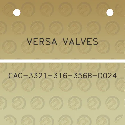 versa-valves-cag-3321-316-356b-d024