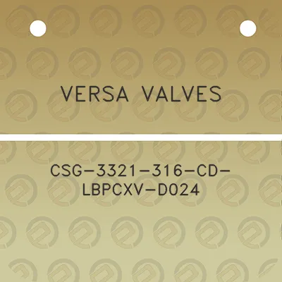 versa-valves-csg-3321-316-cd-lbpcxv-d024