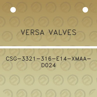 versa-valves-csg-3321-316-e14-xmaa-d024