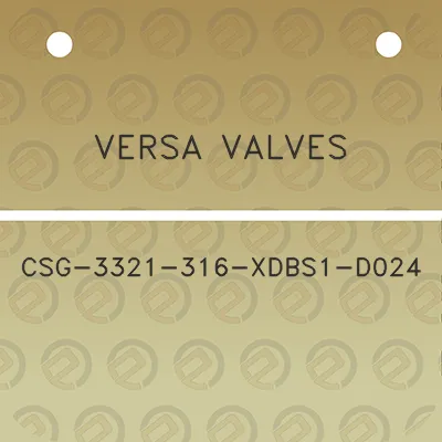 versa-valves-csg-3321-316-xdbs1-d024