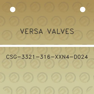 versa-valves-csg-3321-316-xxn4-d024