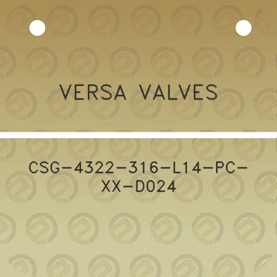 versa-valves-csg-4322-316-l14-pc-xx-d024