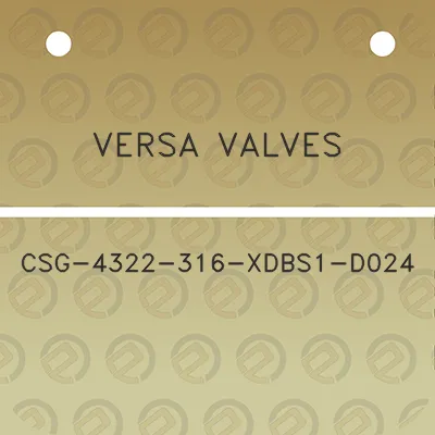 versa-valves-csg-4322-316-xdbs1-d024