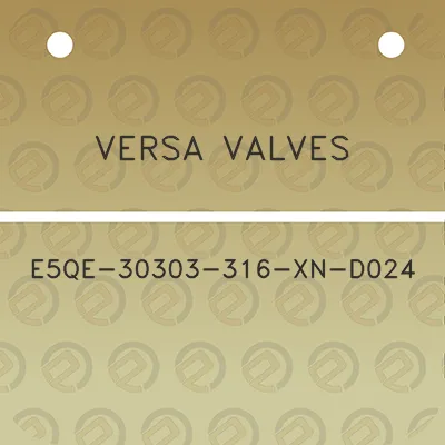 versa-valves-e5qe-30303-316-xn-d024