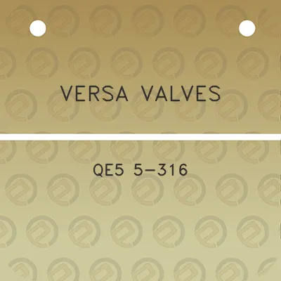 versa-valves-qe5-5-316