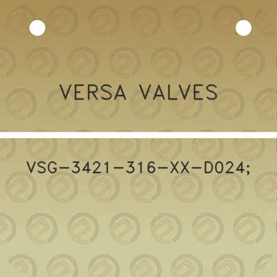 versa-valves-vsg-3421-316-xx-d024