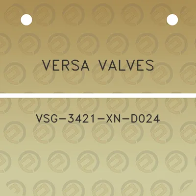 versa-valves-vsg-3421-xn-d024