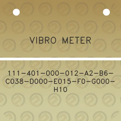 vibro-meter-111-401-000-012-a2-b6-c038-d000-e015-f0-g000-h10