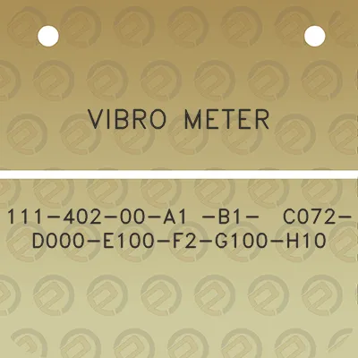 vibro-meter-111-402-00-a1-b1-c072-d000-e100-f2-g100-h10