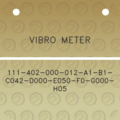 vibro-meter-111-402-000-012-a1-b1-c042-d000-e050-f0-g000-h05