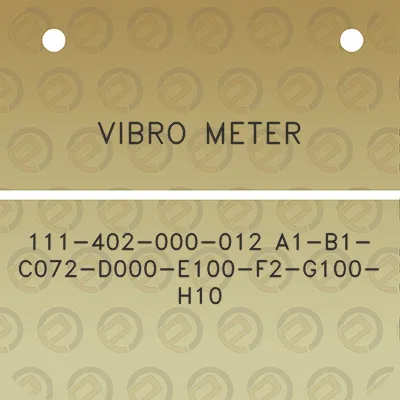 vibro-meter-111-402-000-012-a1-b1-c072-d000-e100-f2-g100-h10