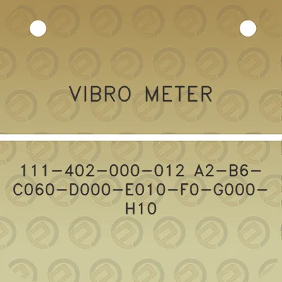 vibro-meter-111-402-000-012-a2-b6-c060-d000-e010-f0-g000-h10