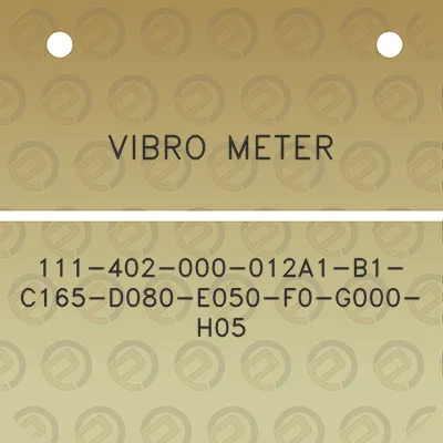 vibro-meter-111-402-000-012a1-b1-c165-d080-e050-f0-g000-h05