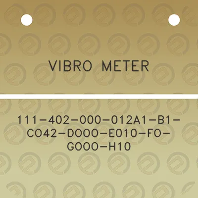 vibro-meter-111-402-000-012a1-b1-co42-dooo-e010-fo-gooo-h10