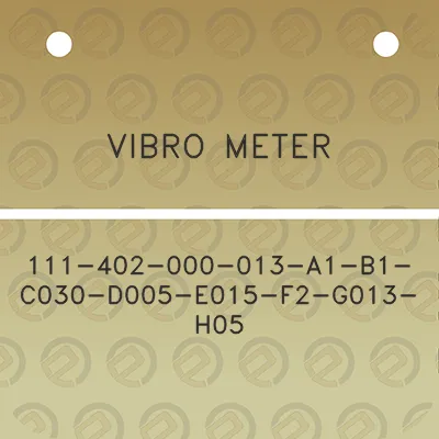 vibro-meter-111-402-000-013-a1-b1-c030-d005-e015-f2-g013-h05