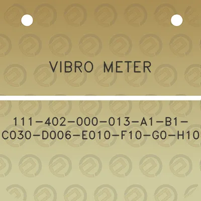 vibro-meter-111-402-000-013-a1-b1-c030-d006-e010-f10-g0-h10