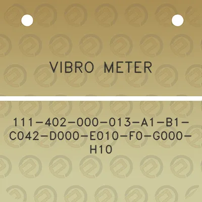 vibro-meter-111-402-000-013-a1-b1-c042-d000-e010-f0-g000-h10