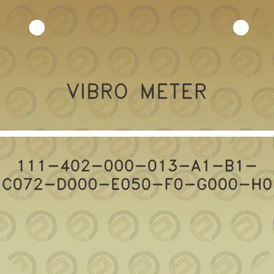 vibro-meter-111-402-000-013-a1-b1-c072-d000-e050-f0-g000-h0