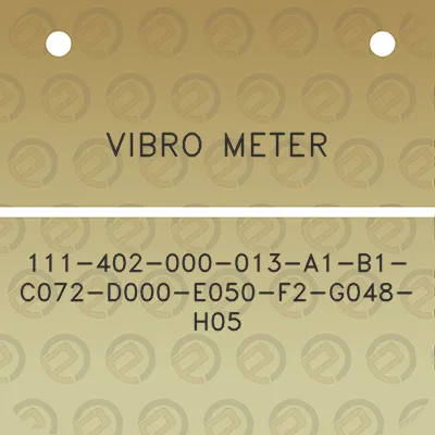 vibro-meter-111-402-000-013-a1-b1-c072-d000-e050-f2-g048-h05