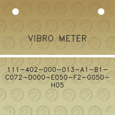 vibro-meter-111-402-000-013-a1-b1-c072-d000-e050-f2-g050-h05