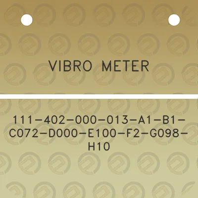 vibro-meter-111-402-000-013-a1-b1-c072-d000-e100-f2-g098-h10