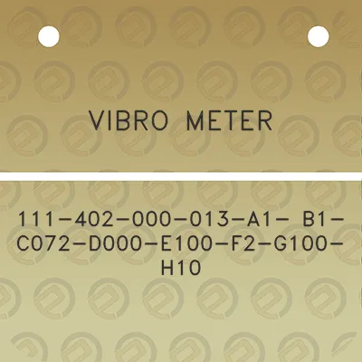 vibro-meter-111-402-000-013-a1-b1-c072-d000-e100-f2-g100-h10