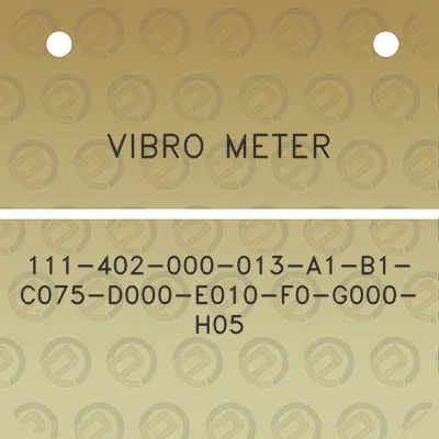 vibro-meter-111-402-000-013-a1-b1-c075-d000-e010-f0-g000-h05