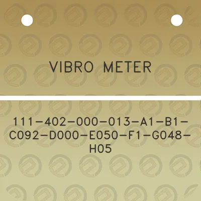 vibro-meter-111-402-000-013-a1-b1-c092-d000-e050-f1-g048-h05