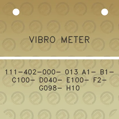 vibro-meter-111-402-000-013-a1-b1-c100-d040-e100-f2-g098-h10