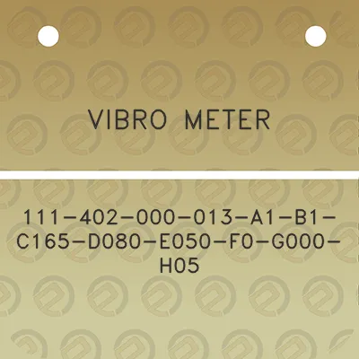 vibro-meter-111-402-000-013-a1-b1-c165-d080-e050-f0-g000-h05