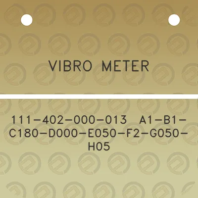 vibro-meter-111-402-000-013-a1-b1-c180-d000-e050-f2-g050-h05