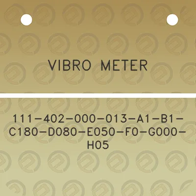 vibro-meter-111-402-000-013-a1-b1-c180-d080-e050-f0-g000-h05