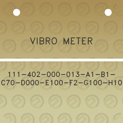 vibro-meter-111-402-000-013-a1-b1-c70-d000-e100-f2-g100-h10