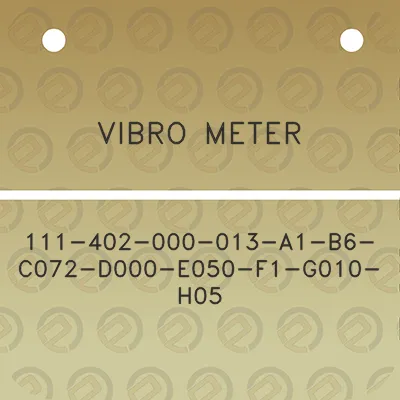 vibro-meter-111-402-000-013-a1-b6-c072-d000-e050-f1-g010-h05