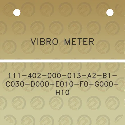 vibro-meter-111-402-000-013-a2-b1-c030-d000-e010-f0-g000-h10