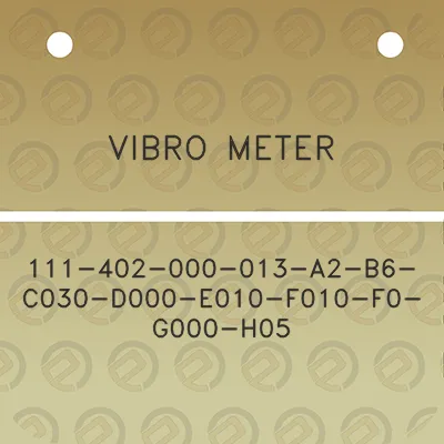 vibro-meter-111-402-000-013-a2-b6-c030-d000-e010-f010-f0-g000-h05