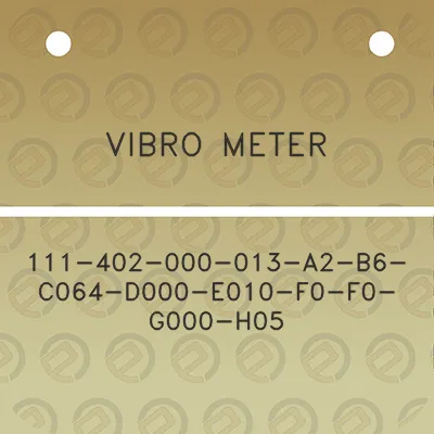 vibro-meter-111-402-000-013-a2-b6-c064-d000-e010-f0-f0-g000-h05