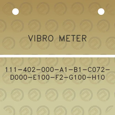 vibro-meter-111-402-000-a1-b1-c072-d000-e100-f2-g100-h10