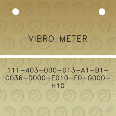 vibro-meter-111-403-000-013-a1-b1-c036-d000-e010-f0-g000-h10